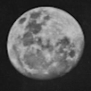 Meet your Posher, Monica